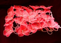 Red Hibiscus - fairy lights